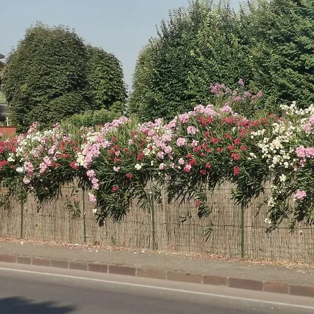 La Casa Del Barbiere 住宿加早餐酒店