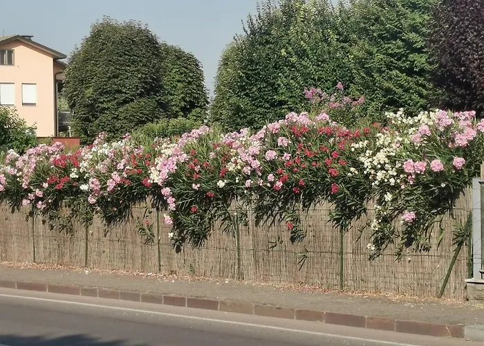 La Casa Del Barbiere 住宿加早餐酒店