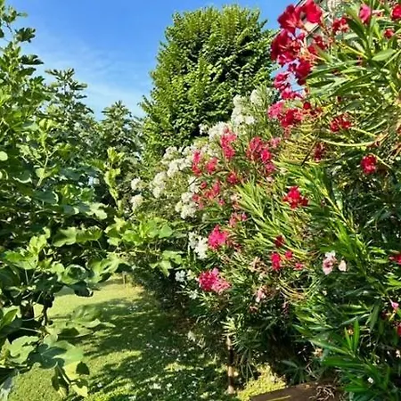 La Casa Del Barbiere Modena