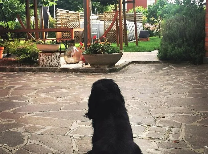 La Casa Del Barbiere Panzió