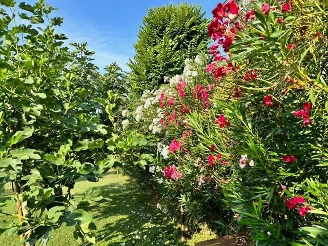 La Casa Del Barbiere Modena